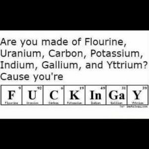 Meet your Posher, Sam